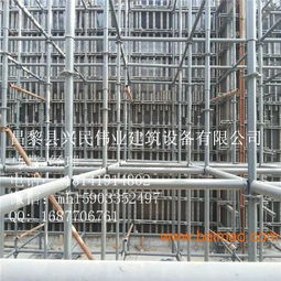 天津地區(qū)房屋建筑施工專用承重墻模板支撐結構 廠家選擇與價格分析